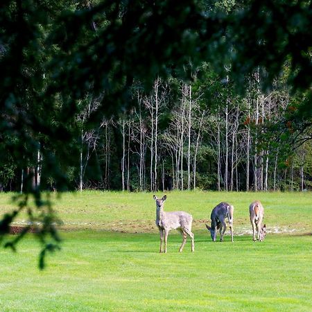 Bed and Breakfast Sleepy Creek Country Manor Bragg Creek Экстерьер фото